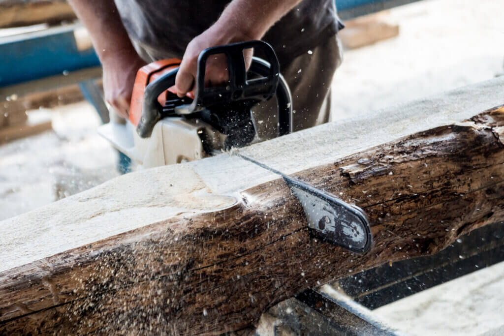 petrol chainsaw shredding tree trunk