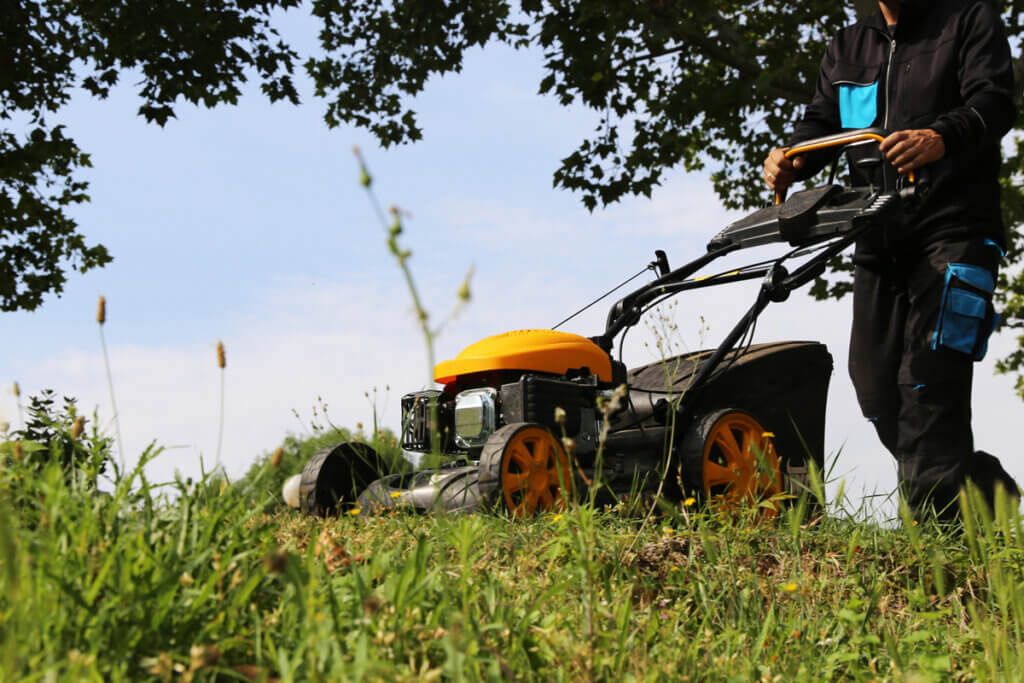 Petrol lawnmower mowing garden