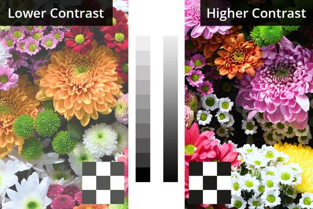 contrast comparison