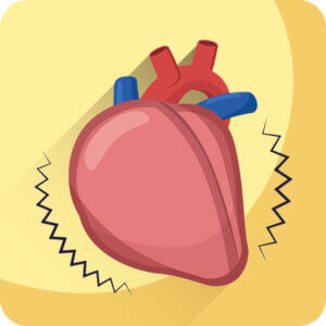 heart_circulatory_disease