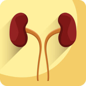 kidney_disease