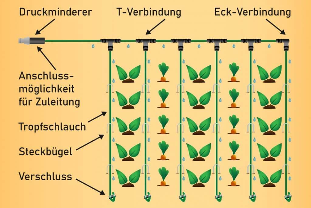 An exemplary irrigation system made of drip hoses.