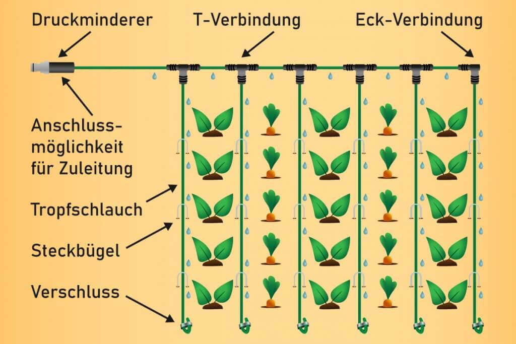 An exemplary irrigation system made of drip hoses.
