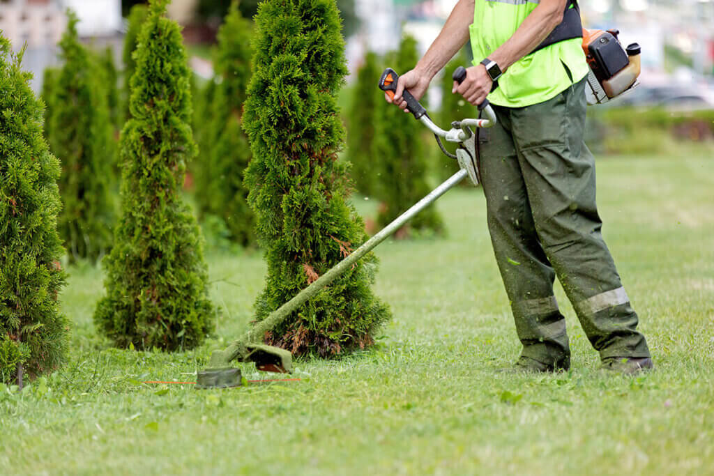 string trimmer motor scythe lawn mower